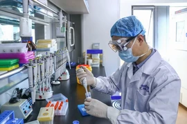 Một nhân viên Sinopharm đang lấy mẫu vaccine ngừa COVID-19 tiềm năng do tập đoàn này phát triển. Ảnh: TÂN HOA XÃ