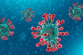 Hình minh hoạ cấu trúc của virus SARS-CoV-2. Ảnh: CNN