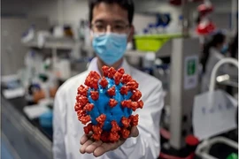 Mô hình bằng virus SARS-CoV-2 gây dịch COVID-19 tại công ty Sinovac Biotech (Bắc Kinh, Trung Quốc). Ảnh: AFP