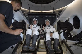 Phi hành gia NASA Robert Behnken (trái) và Douglas Hurley bên trong tàu vũ trụ Crew Dragon Endeavour. Ảnh: AP