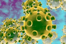 Hình minh hoạ cấu tạo của virus gây dịch COVID-19. Ảnh: CNN