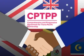 Anh lần đầu thảo luận cùng tất cả thành viên Hiệp định CPTPP. Ảnh: REUTERS