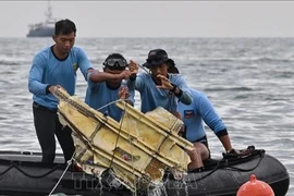 Indonesia bắt được tín hiệu hộp đen của chiếc máy bay gặp nạn. Ảnh: TTXVN