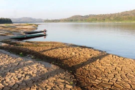 Mực nước sông Mekong xuống thấp đáng lo ngại. Ảnh: Paritta Wangkiat/AFP FORUM