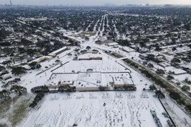 Cảnh giá rét kỷ lục tại bang Texas, Mỹ. Ảnh: CTV NEWS