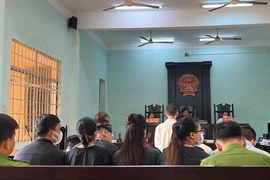 Khi người 'xúi giục người dưới 18 tuổi phạm tội' nhỏ tuổi hơn người bị xúi giục 