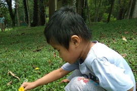 Có nên cho con đi học thêm, học nội trú vào mùa hè? 