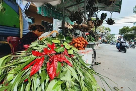 Tết Đoan Ngọ treo túi thơm, lá ngải cứu và xương rồng 