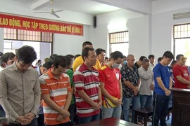 Hậu Giang xử 39 bị cáo đá gà ăn tiền