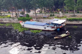 Nước sông ở Hậu Giang có màu đen: Lý do khó ngờ