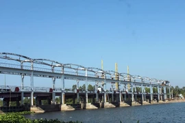 Miền Tây cần chủ động phòng chống hạn, mặn từ bây giờ
