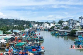 Kiên Giang phát hiện và xử lý 146 vụ tàu cá vi phạm hành chính 