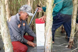 Hậu Giang hoàn thành giải phóng mặt bằng cho dự án cao tốc trước hạn 