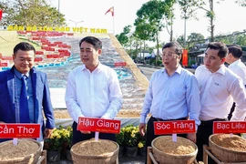 Triển lãm 'Con đường lúa gạo Việt Nam' phá kỷ lục