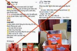 Pháo hoa Bộ Quốc phòng sản xuất rao bán trên mạng có thể bị phạt