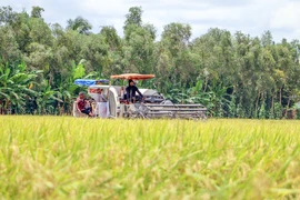 Phó Thủ tướng Trần Lưu Quang: Tuân thủ nguyên tắc và linh hoạt ứng xử