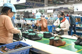 Lãnh đạo Kiên Giang chỉ đạo các sở ngành, địa phương lắng nghe, gỡ khó cho doanh nghiệp 