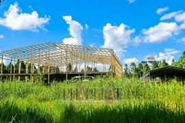 Đã chuyển hồ sơ dự án siêu thị và khu đa chức năng ở thị xã Long Mỹ sang Công an