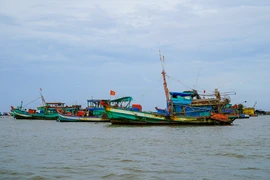 Tỉnh Kiên Giang đã nhập căn cước công dân lên VNFishbase đạt hơn 97%