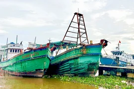 Tỉnh Cà Mau yêu cầu xử lý dứt điểm các trường hợp vi phạm IUU