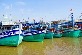 Cần Thơ không có tàu cá vượt ranh giới ra vùng biển nước ngoài