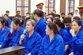 TAND tỉnh An Giang xét xử 61 bị cáo vụ môi giới mại dâm, mua dâm 