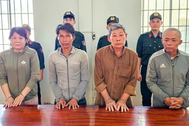 5 bị can bị 'phù phép' đất rừng phòng hộ ở Phú Quốc để chiếm đoạt 20 tỉ 