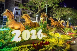 Khai mạc đường hoa nghệ thuật Cần Thơ mừng Xuân Bính Ngọ 2026