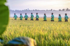 Khám phá cung đường băng qua vườn trái cây đặc trưng của miền Tây