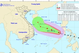 Bão số 8 giật cấp 14 đang trên biển Đông