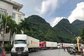 Tốc độ thông quan tại cửa khẩu Tân Thanh vẫn chậm