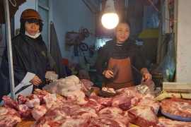 Vì sao giá heo chưa giảm sâu?