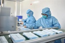 Ảnh minh họa. Nguồn: TTXVN
