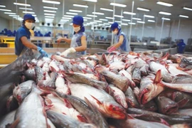 Khách hàng Trung Quốc muốn ép giá thủy sản