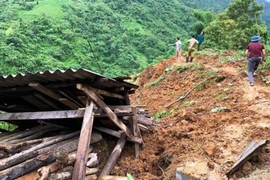 2 người chết do sạt lở đất ở Lào Cai