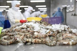 Tôm, cá Việt thắng lớn ở EU nhờ lợi thế trước đối thủ 