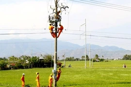 Lý do chương trình cấp điện nông thôn chưa thực hiện