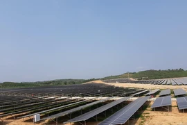 Bộ Công Thương sẽ thí điểm mua điện mặt trời giá thấp