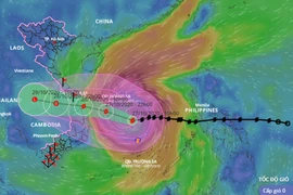 Bão số 9: Cấp độ cuồng phong, sóng biển cao hơn 10m