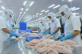 Trung Quốc siết chặt kiểm tra thủy sản đông lạnh nhập khẩu