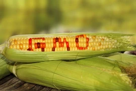 3 bộ vào cuộc trước lo ngại thực phẩm biến đổi gen ở Hưng Yên