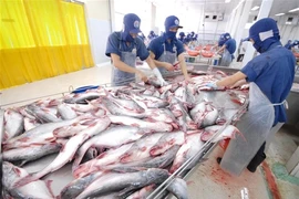 Xuất khẩu cá da trơn sang Campuchia bình thường trở lại