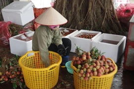 Bộ Công Thương kêu gọi hỗ trợ tiêu thụ nông sản Bắc Giang