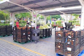 Hàng hóa cung ứng cho phía Nam dồi dào, chỉ vướng khâu vận chuyển