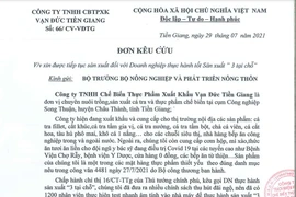 Bị ngừng sản xuất đột ngột, 1 công ty '3 tại chỗ' ở Tiền Giang kêu cứu 