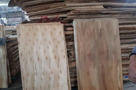 Việt Nam và Mỹ đạt thỏa thuận về cuộc điều tra liên quan đến gỗ 