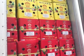 Nhận tin trễ, nhiều lô thanh long Việt tắc tại cảng Trung Quốc