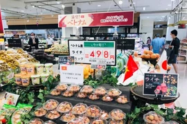 Việt Nam xuất siêu sang Ukraine, Nga...