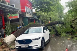 Cảnh báo thời tiết 3 miền trong giai đoạn chuyển mùa