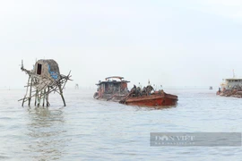 'Đất nuôi ngao, hàu sốt hơn đất ở thành phố'